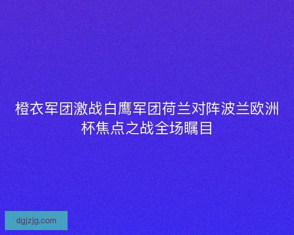 橙衣军团激战白鹰军团荷兰对阵波兰欧洲杯焦点之战全场瞩目