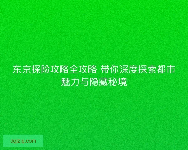 东京探险攻略全攻略 带你深度探索都市魅力与隐藏秘境