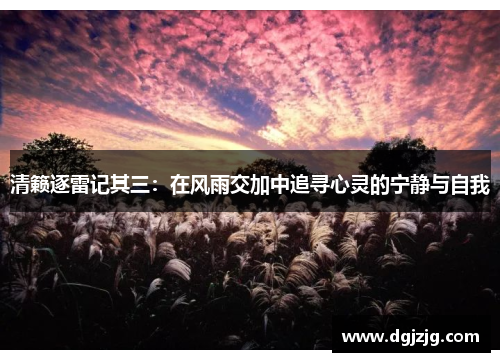 清籁逐雷记其三：在风雨交加中追寻心灵的宁静与自我